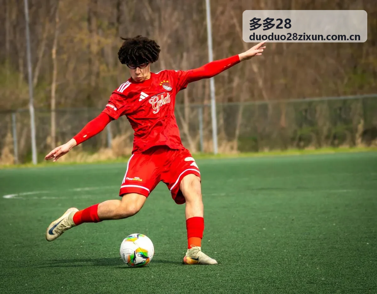 多多28推出企业定制服务
